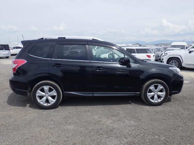 FORESTER