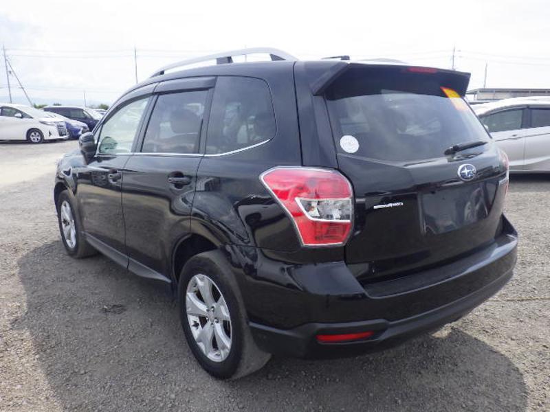 FORESTER