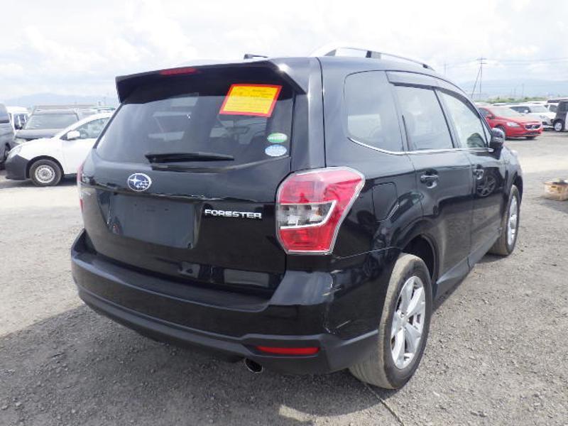 FORESTER