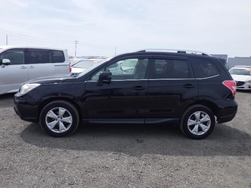 FORESTER