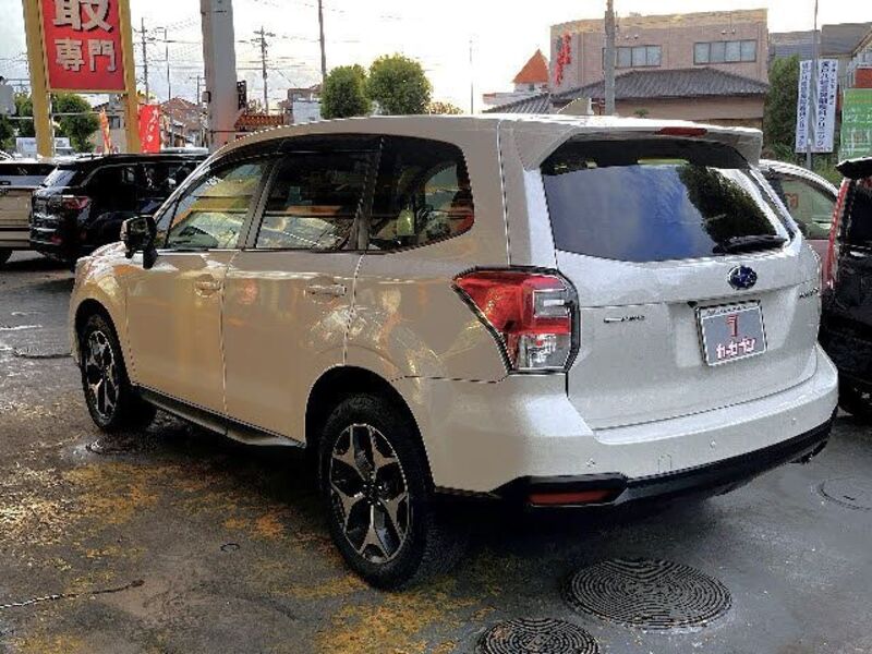 FORESTER