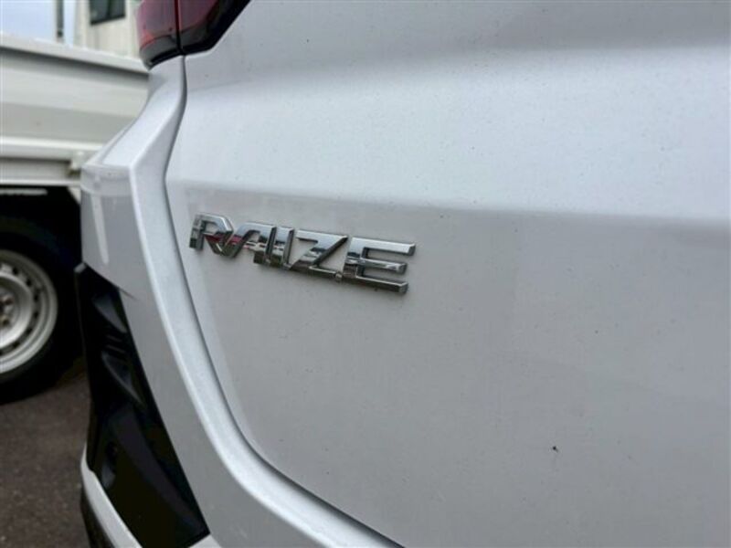 RAIZE