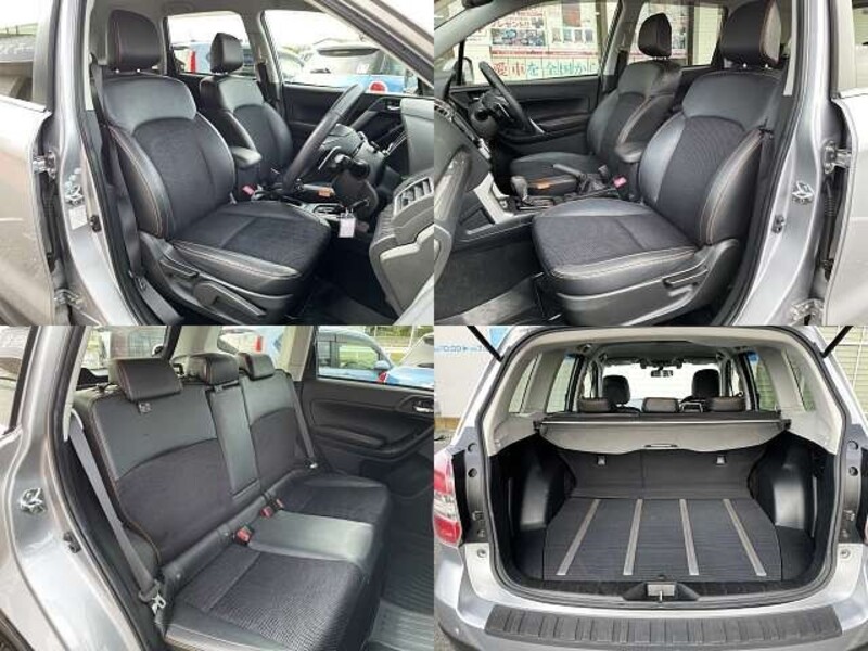 FORESTER