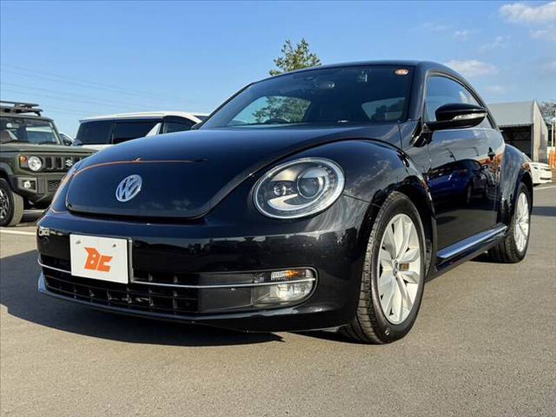 THE BEETLE