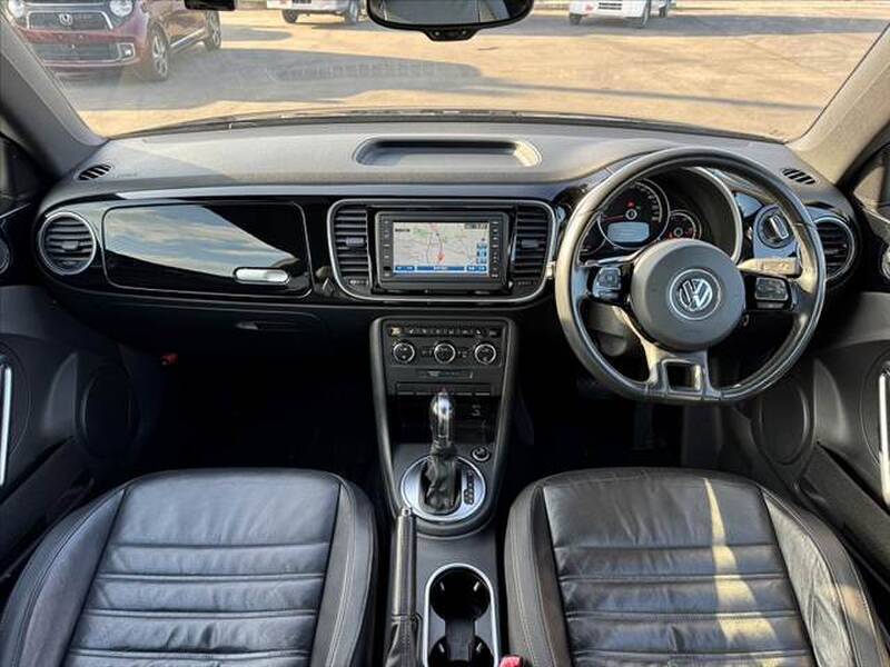 THE BEETLE