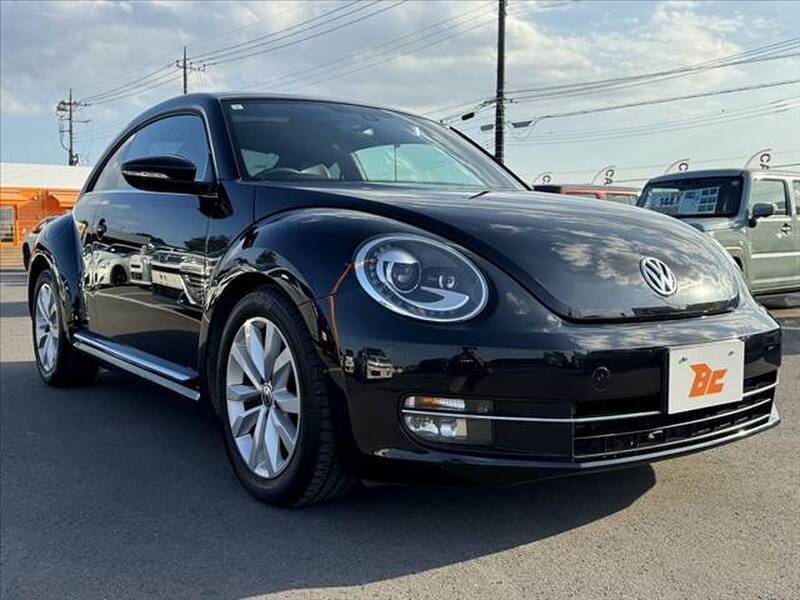 THE BEETLE