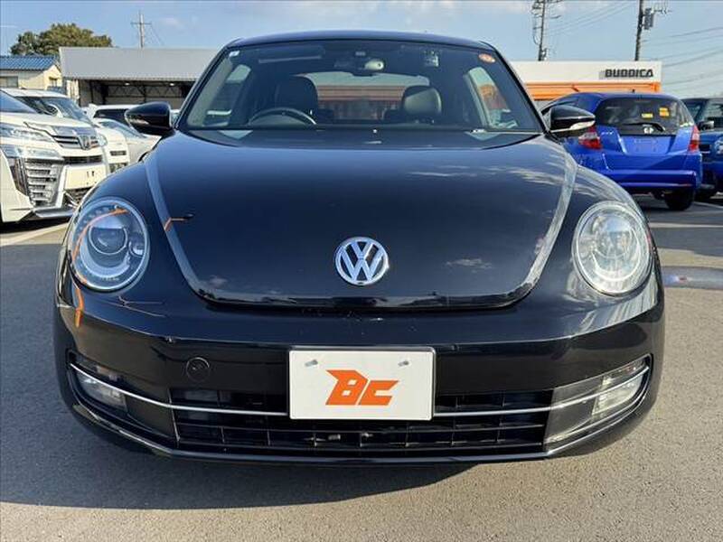 THE BEETLE