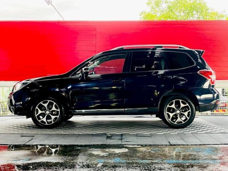 FORESTER