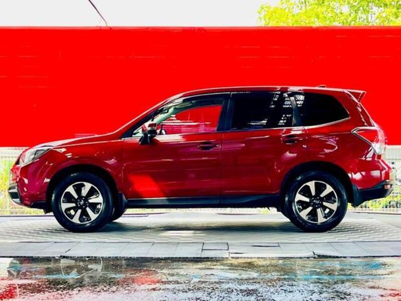 FORESTER