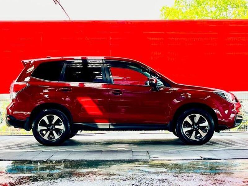 FORESTER