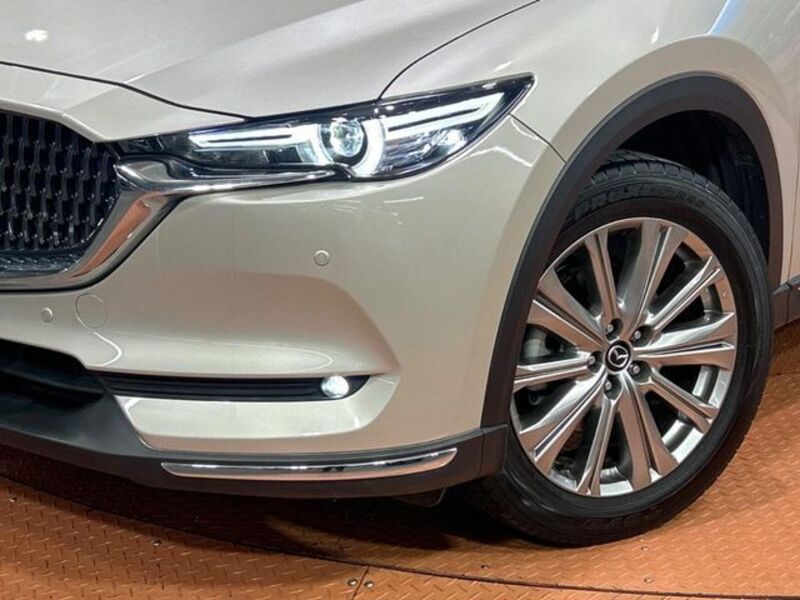 CX-8