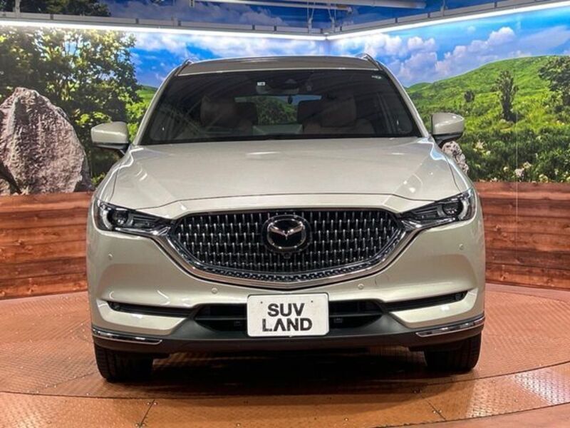 CX-8