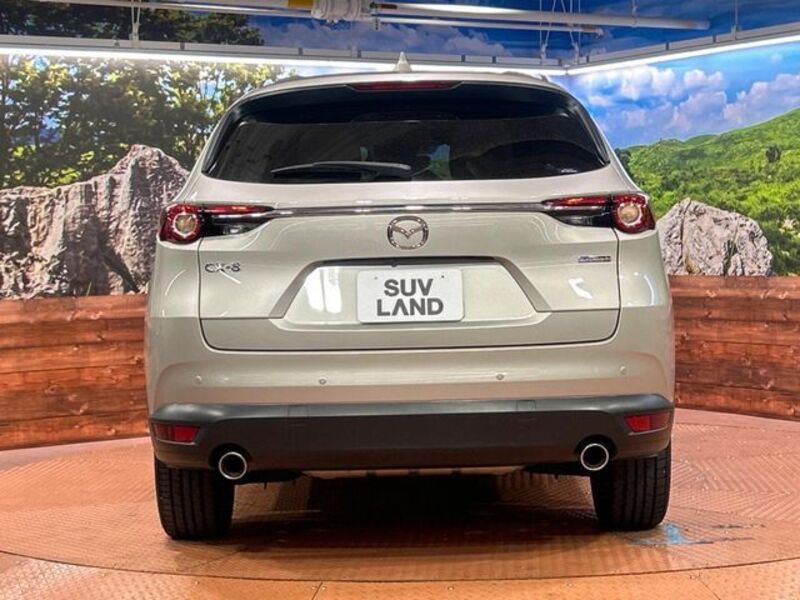 CX-8