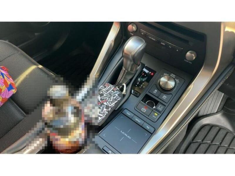 NX