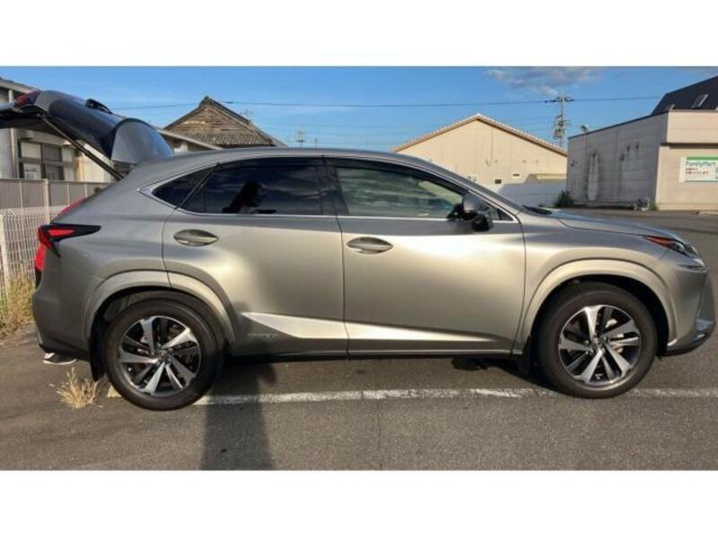 NX