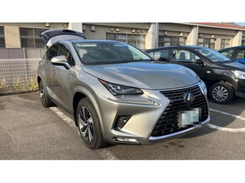 NX