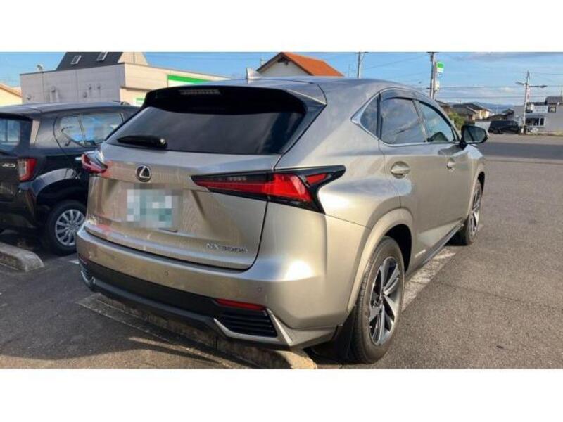 NX