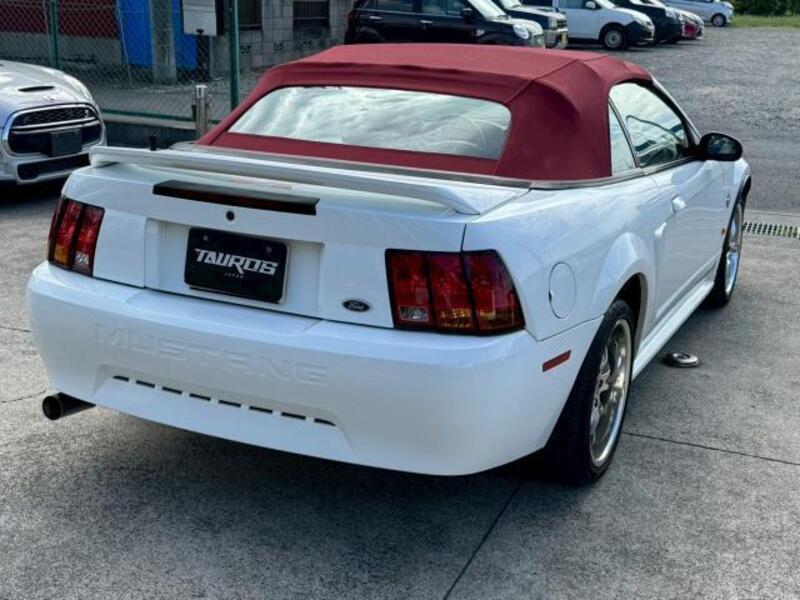 MUSTANG