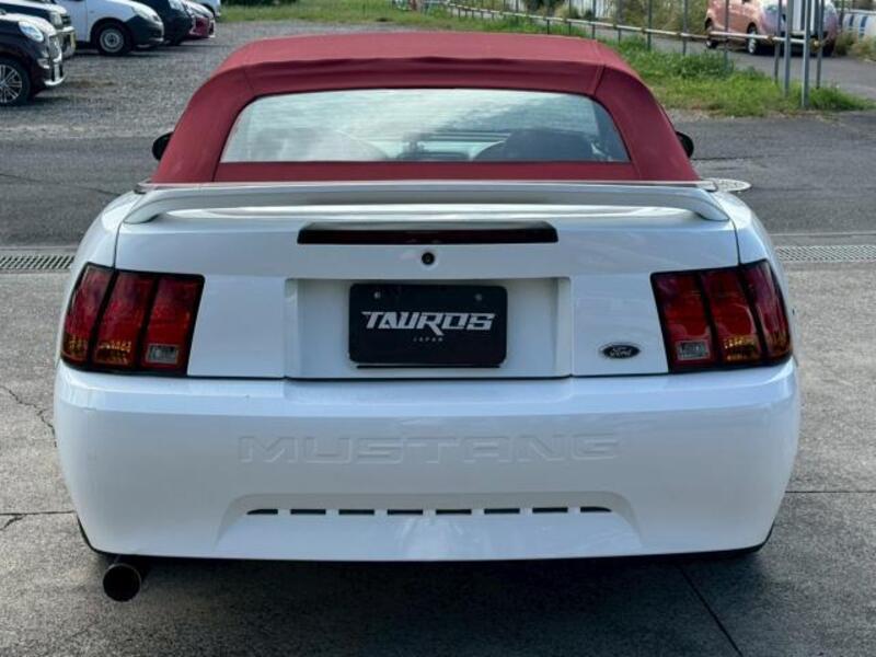 MUSTANG