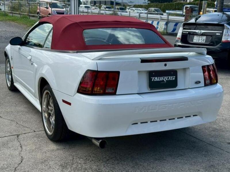 MUSTANG