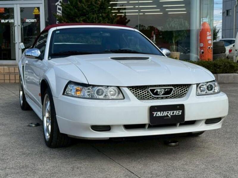 MUSTANG