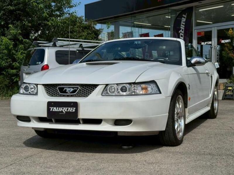 MUSTANG