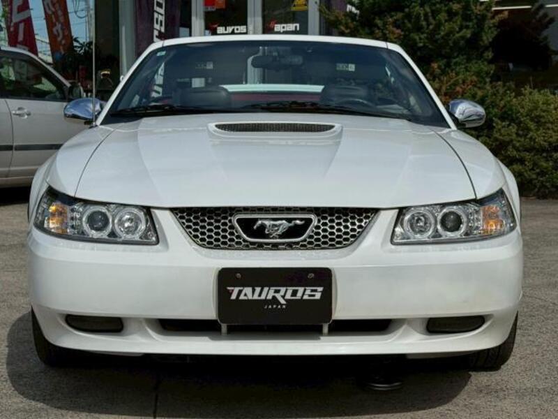 MUSTANG