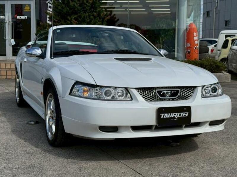 MUSTANG