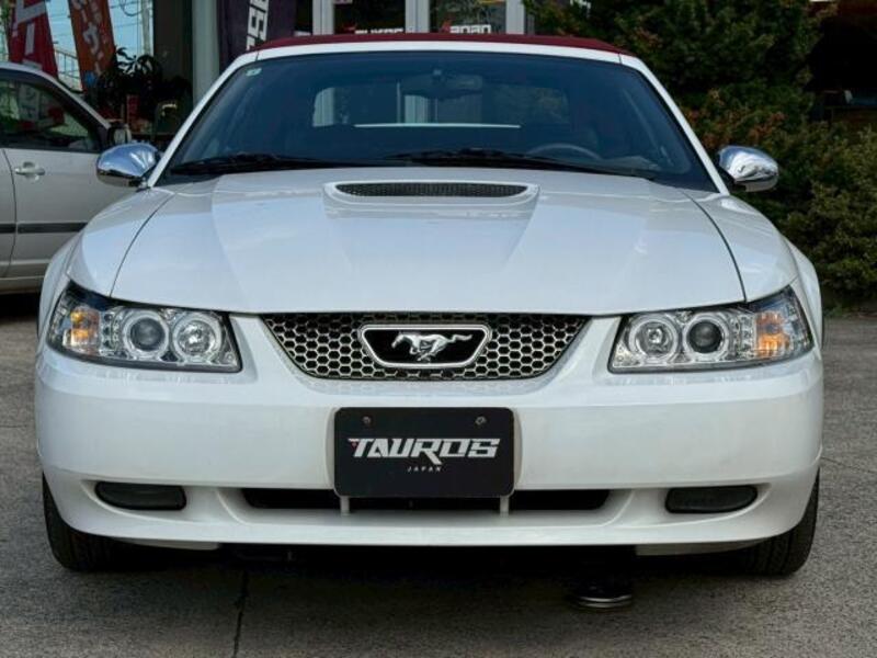 MUSTANG