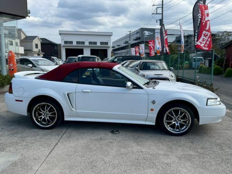 MUSTANG