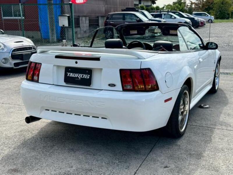 MUSTANG
