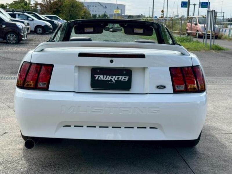 MUSTANG