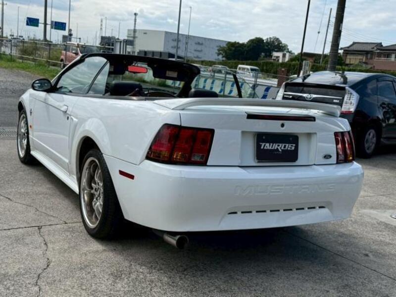 MUSTANG