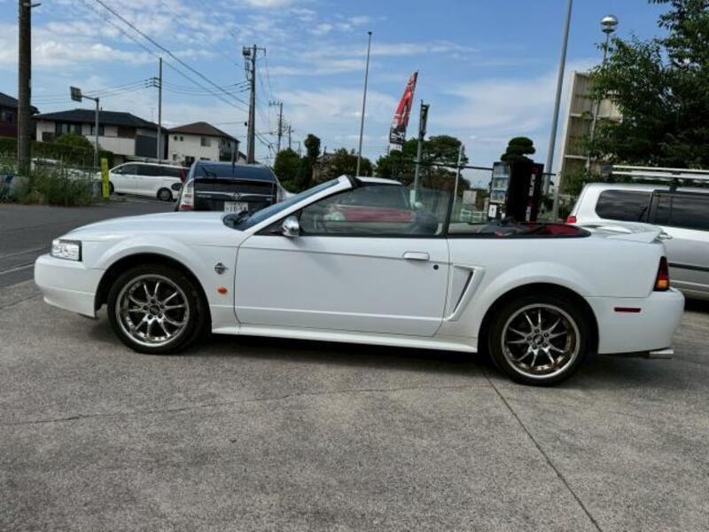 MUSTANG