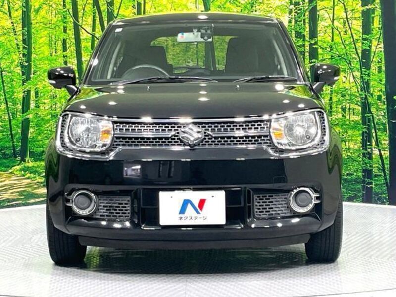 IGNIS