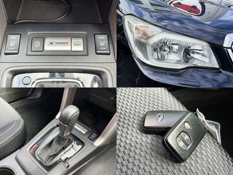 FORESTER