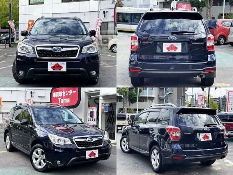 FORESTER