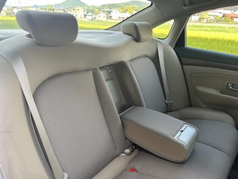 BLUEBIRD SYLPHY