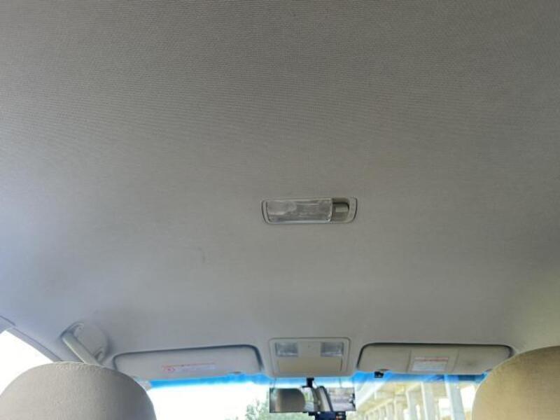 BLUEBIRD SYLPHY