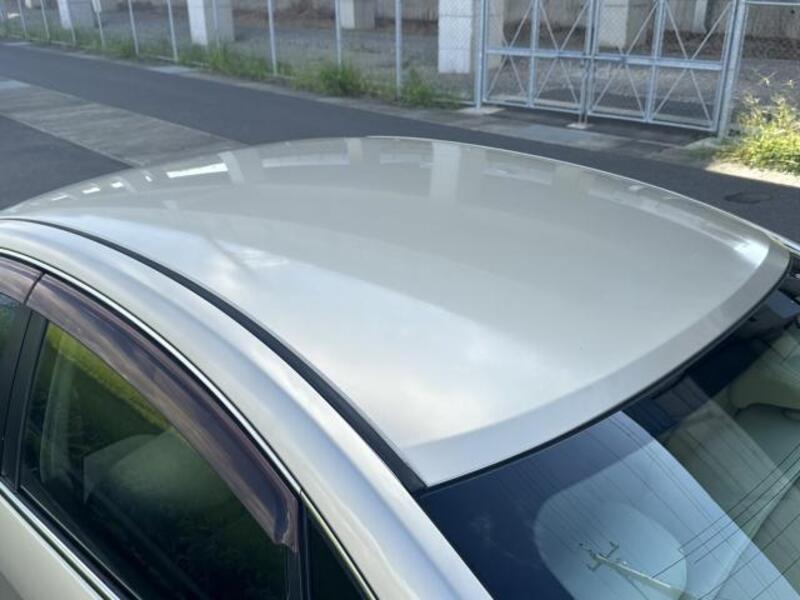 BLUEBIRD SYLPHY