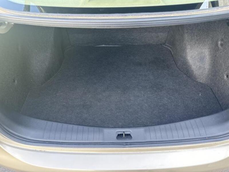 BLUEBIRD SYLPHY