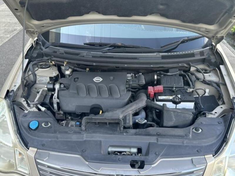 BLUEBIRD SYLPHY