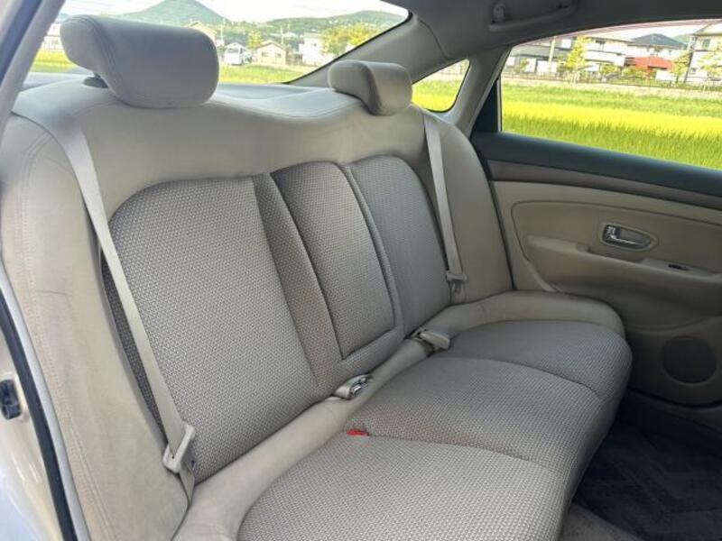 BLUEBIRD SYLPHY