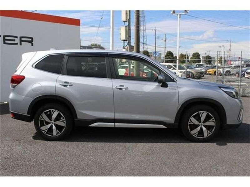 FORESTER