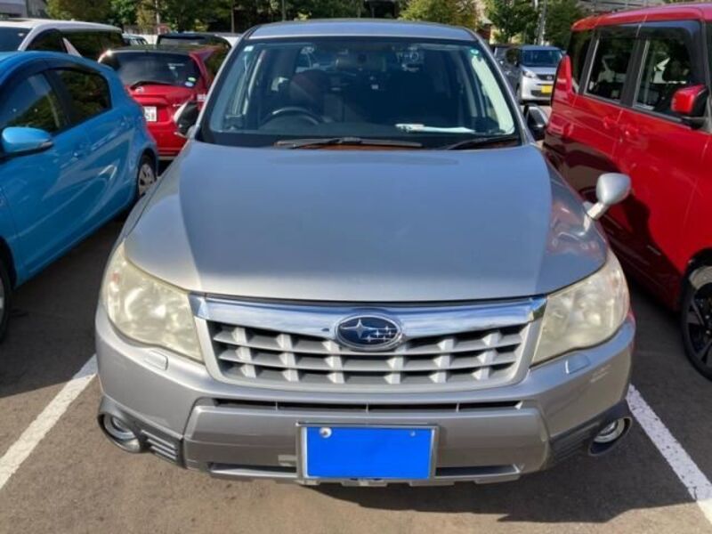 FORESTER