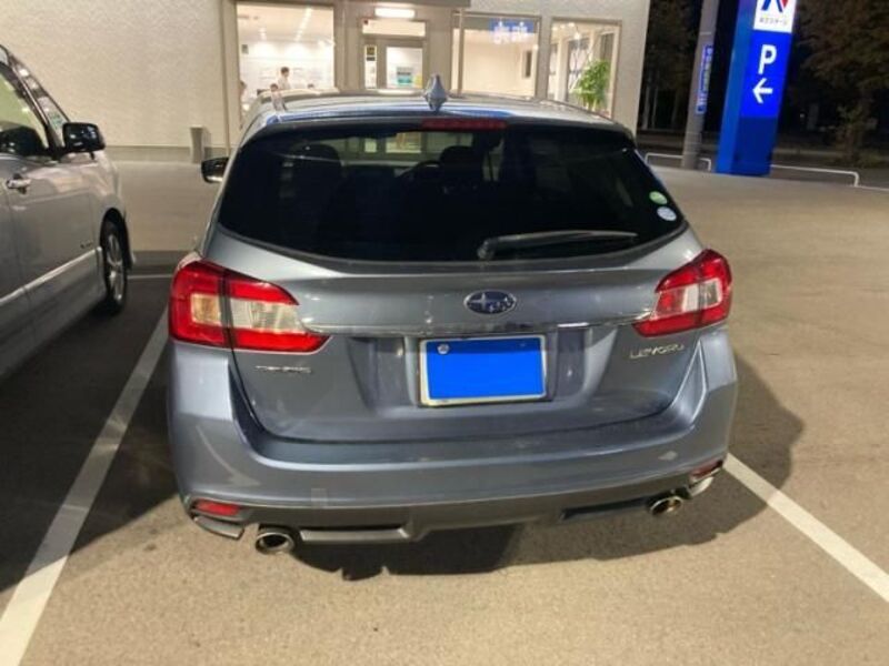 LEVORG
