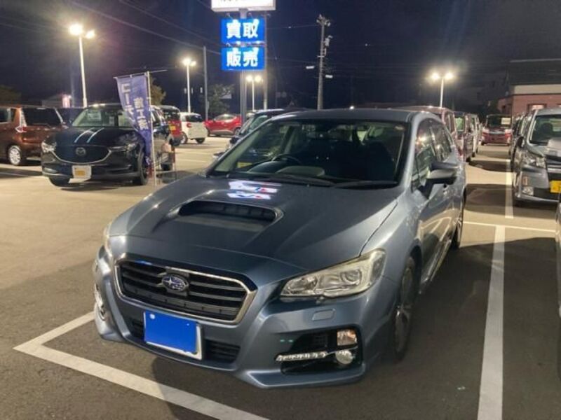 LEVORG