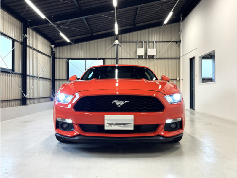 MUSTANG