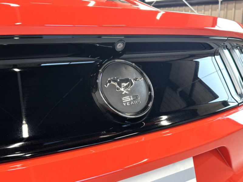 MUSTANG