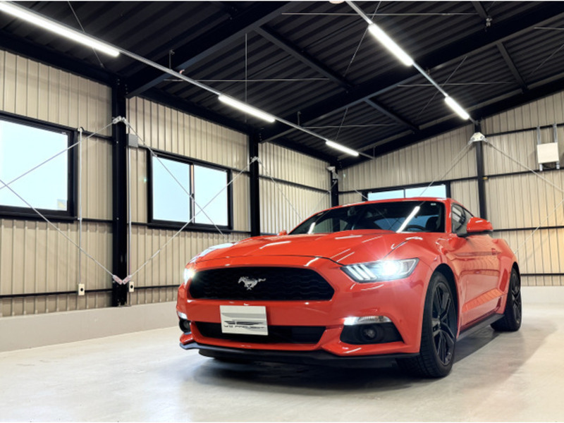MUSTANG